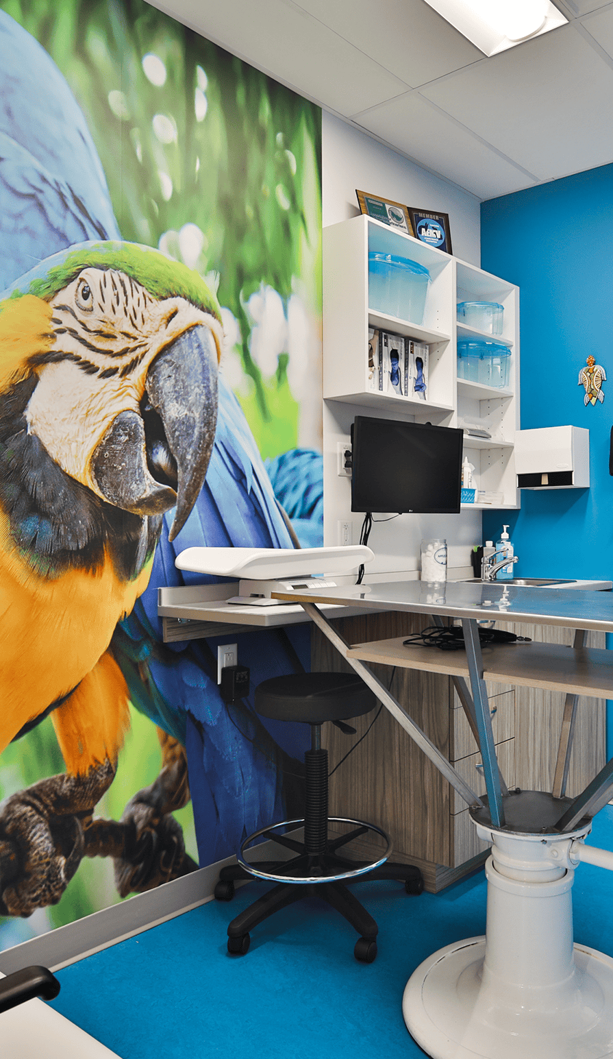 service-de-design-d-interieur-clinique-veterinaire-salle-de-consultation-montreal